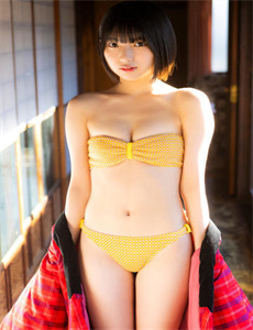 野鸽子